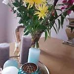 Evy's Place