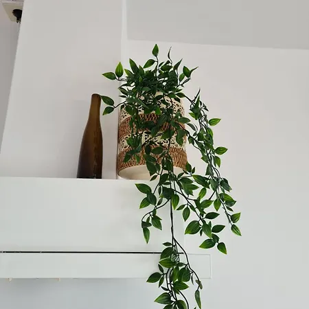 Evy's Place 게스트하우스 잔드보르트