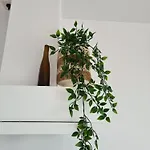Evy's Place Guest house Zandvoort