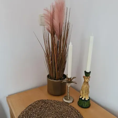 Evy's Place Vendégház Zandvoort