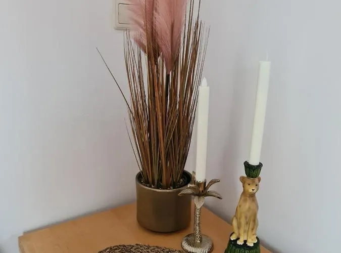 Evy's Place Casa de hóspedes Zandvoort